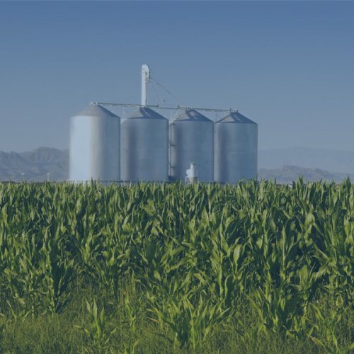 Агропромисловий комплекс